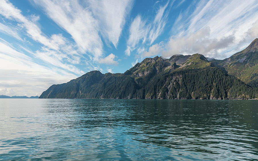 Resurrection Bay from the Air